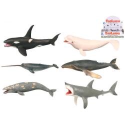 Zvířata mořská 18-26cm plastové figurky zvířátka 6 druhů